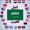 Фото профиля السعوديه قبلة المسلمين واصل العرب 🇸🇦