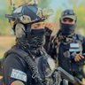 شاخ شکن اشغالگران's profile picture