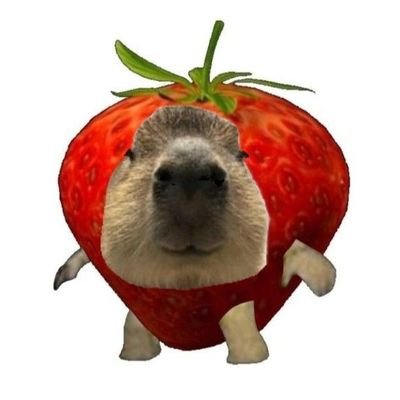 ellli_li_li's profile picture