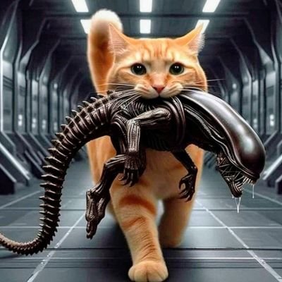 OpenEye95053629's profile picture