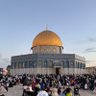 Free Palestine's profile picture