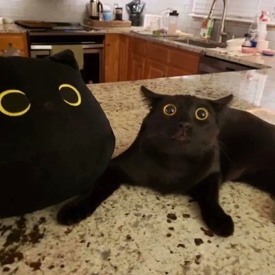 Mongoking99999's profile picture