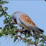 Фото профиля أبو عبدالله
