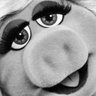Silver Frill 💃's profile picture