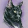 Profilbild von Theo