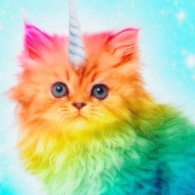 Eddie🦄🐱 (Unicat of shedtwt)'s profile picture
