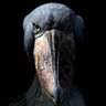 Фото профиля Renzo Martínez