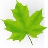 Tory's profile picture