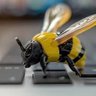 Фото профиля A Bee