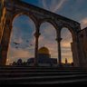 Profilbild von 🇪🇬Noha Mustafa