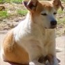 Profilbild von María