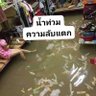ทำงานตัวเป็นเกลียวสุดทายหีเอาไปแดกหมด profil fotoğrafı