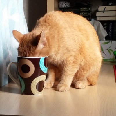 삶의 질 상승's profile picture