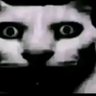 Elbolsas0's profile picture
