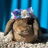 romy profil fotoğrafı