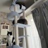ノコ profil fotoğrafı