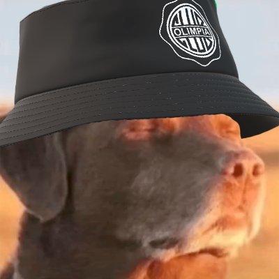 notNOTr4u's profile picture