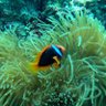 Фото профиля Duane Beattie