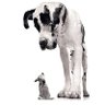 Chris's profile picture