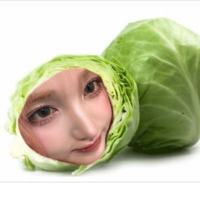 양배추's profile picture