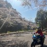 しろ profil fotoğrafı