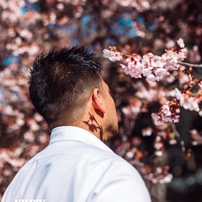 tkb_shu's profile picture
