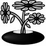 Profilbild von y