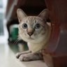 𝐀𝐛𝐩𝐞𝐫𝐧 ~ ชน์ 🐱's profile picture