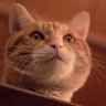 Profilbild von Lefty