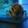Kim Bee's profile picture