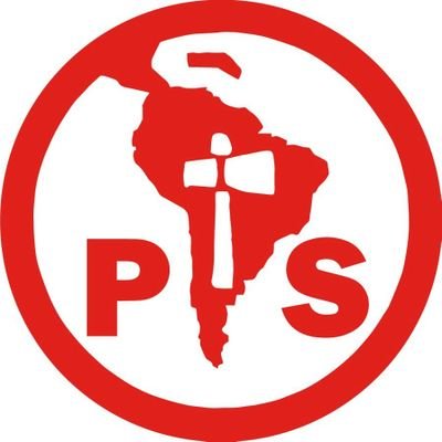 PSChile's profile picture