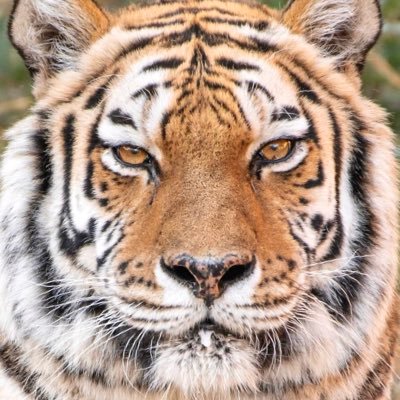 じんせい's profile picture