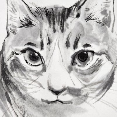0THR25's profile picture