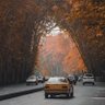 Фото профиля پوریا احمدی