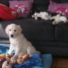 gwenn 0020 profil fotoğrafı