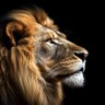 Sai Kumar's profile picture