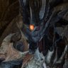Profilbild von Daxia