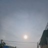 renza 的头像