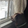 Rose Lost's profile picture