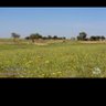 Фото профиля عقلاني ناضج