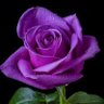 Фото профиля Kathy Azzario