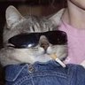 jonn's profile picture