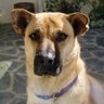 Eileen's profile picture
