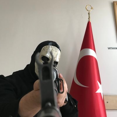 Şanyu 𐰆𐰍𐰕's profile picture