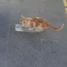 evde kal abcm profil fotoğrafı