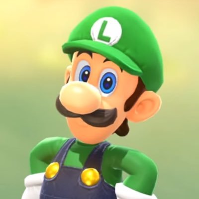 Luigikid64 🪠's profile picture