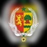 ADN_SENEGAL #FreeSenegal 的头像