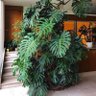 Фото профиля Josant