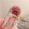 Profilbild von 特仑苏牛奶