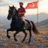 Фото профиля TEPEDEN TIRNAĞA ULUSALCI